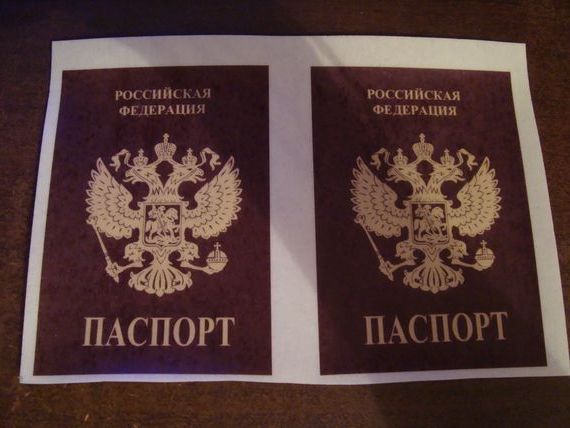 прописка в Мончегорске